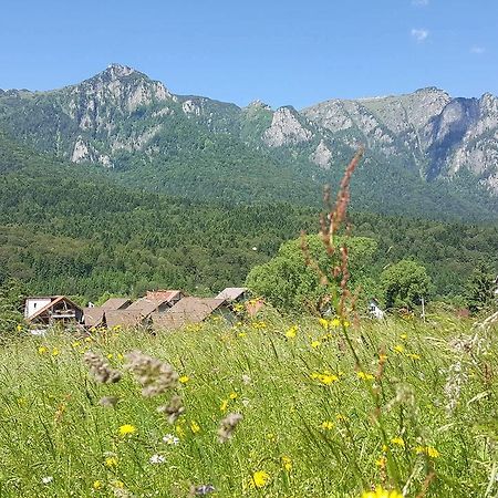 Yael Luxury Apartments 1 Buşteni エクステリア 写真