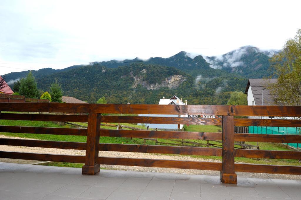 Yael Luxury Apartments 1 Buşteni エクステリア 写真